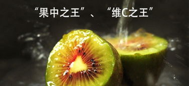 紅心獼猴桃合作社 現(xiàn)摘現(xiàn)發(fā)，開(kāi)啟新鮮水果批發(fā)零售新體驗(yàn)